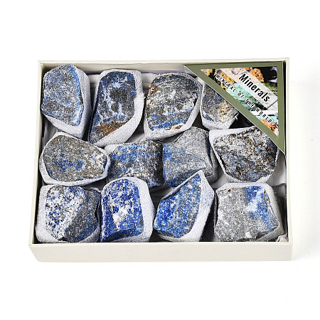 Natural Lapis Lazuli Geode Cornucopia Mineral Specimen G-N347-13B-1