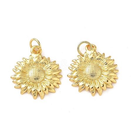 Brass Pendants KK-I381-02G-1