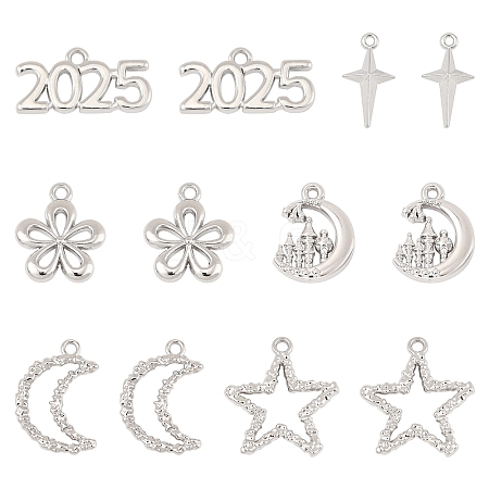 12Pcs 6 Styles Alloy Pendants FIND-FS0003-38P-1