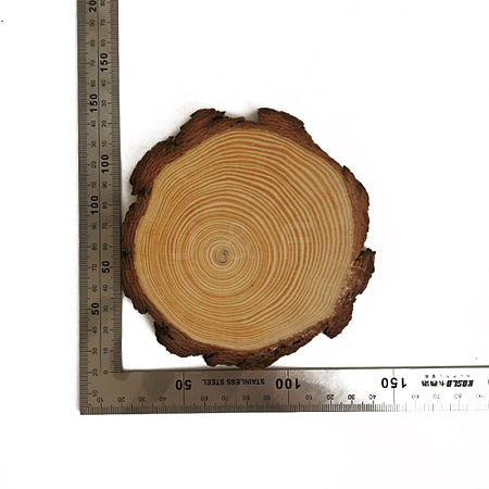 Wooden Slices HULI-PW0002-079C-1