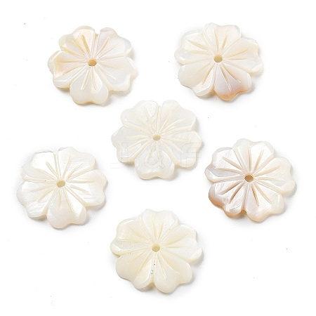 Natural Freshwater Shell Beads SHEL-Z002-02-1