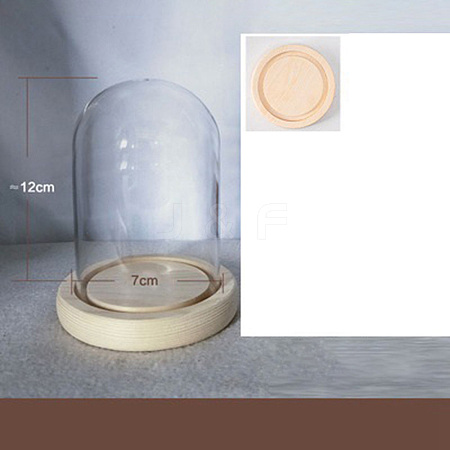 Arch Glass Dome Cover PW-WG54109-03-1