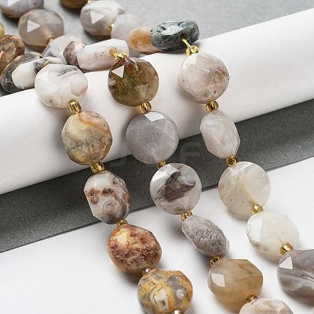 Natural Crazy Lace Agate Beads Strands G-NH0004-032-1