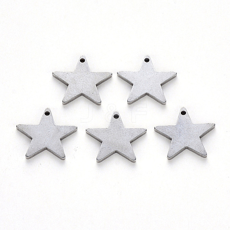 304 Stainless Steel Charms X-STAS-N092-67-1