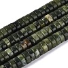 Natural Chinese Jade Southern Jade Beads Strands G-N367-03A-12-2
