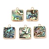 Natural Paua Shell Pendants SHEL-P017-21G-1