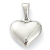 304 Stainless Steel Pendants STAS-P278-01J-P-2