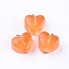 Resin Pendants RESI-WH0008-12A-2