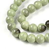 Baking Paint Glass Beads X1-DGLA-N013-10mm-05-3