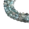 Natural Apatite Beads Strands G-G161-A11-03-2