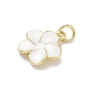 Brass Enamel Pendants KK-CBA3F25-07G-01-2