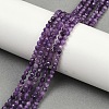 Natural Lepidolite/Purple Mica Stone Beads Strands G-C009-A26-2