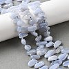 Natural Blue Lace Agate Beads Strands G-J403-03-5