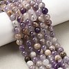 Natural Chevron Amethyst Beads Strands G-L552H-06A-7