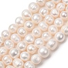 Natural Cultured Freshwater Pearl Beads Strands PA-CBABE82-12B-2