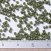 MIYUKI Delica Beads X-SEED-J020-DB0391-4