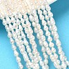 Natural Cultured Freshwater Pearl Beads Strands PEAR-C004-11-1