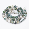 Natural Tree Agate Beads Strands G-S332-10mm-010-3