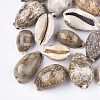 Cowrie Shell Beads X-SSHEL-S258-59A-1