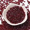 Spray Painted Glass Seed Beads SEED-F005-11A-01-2