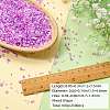 100G Electroplate Glass Seed Beads GLAA-SZ0002-16A-2