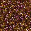 Spray Painted Glass Seed Beads SEED-F005-04A-01-3