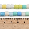 Baking Paint Glass Beads Strands LAMP-S070-06D-4