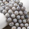 Natural Gemstone Beads Strands G-L641-A01-04-1