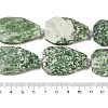 Natural Green Spot Jasper Beads Strands G-P548-B03-01-4