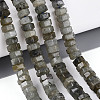 Natural Labradorite Beads Strands G-N357-14A-07-1