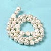 Natural Cultured Freshwater Pearl Beads Strands PEAR-E017-21-3