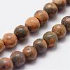 Natural Leopard Skin Jasper Beads Strands G-N0181-02-4mm-3