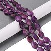 Natural Kunzite Beads Strands G-Q017-D04-01C-1