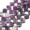 Natural Lepidolite Beads Strands G-G106-E01-01-1