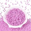 FGB Glass Seed Beads SEED-Q040-08A-07-2