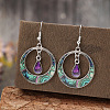Bohemian Style Zinc Alloy Plastic Dangle Earrings FS-WG6C237-01-2