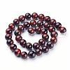 16 inch Round Gemstone Strands GSR10mmC042-3