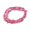 Natural Tourmaline Beads Strands G-P406-12-2