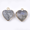 Electroplate Natural Labradorite Pendants G-T112-03A-2