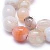 Natural Cherry Blossom Agate Beads Strands G-D0010-21A-3