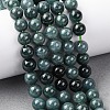 Natural Blue Jade Beads Strands G-H341-8mm-02-1