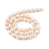 Natural Cultured Freshwater Pearl Beads Strands PEAR-I007-01D-07C-3