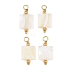 Natural Freshwater Shell Pendants SH-CBA5EEC-03G-1