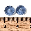 K9 Glass SWAR-F078-4x8mm-20-3