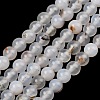 Natural Dendritic Agate Beads Strands G-D0005-18-6mm-2