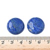Natural Lapis Lazuli Cabochons G-A265-01E-3
