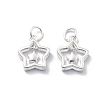 925 Sterling Silver Charms STER-D302-05C-S-1