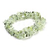 Natural Prehnite Beads Strands G-F575-16-1