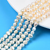 Natural Cultured Freshwater Pearl Beads Strands PEAR-N014-05B-5