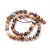 Natural Petrified Wood Beads Strands G-F545-F02-3